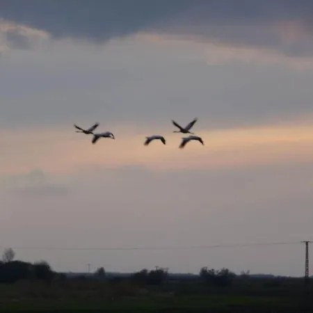 House On Hof Jumne Casa de Férias *