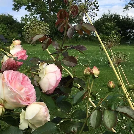 House On Hof Jumne *