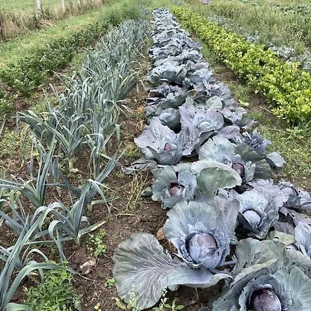 Casa de Férias House On Hof Jumne *