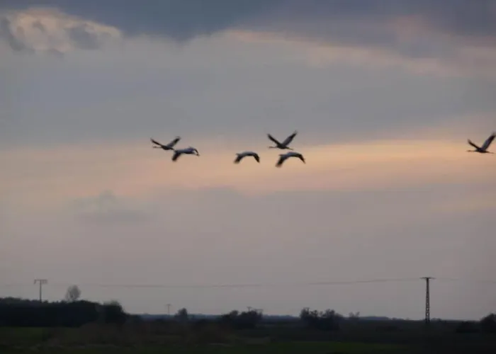 House On Hof Jumne بيت للعطل *