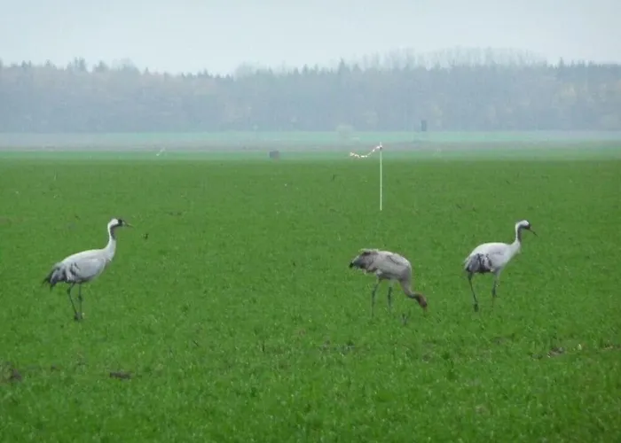 بيت للعطل House On Hof Jumne Saal